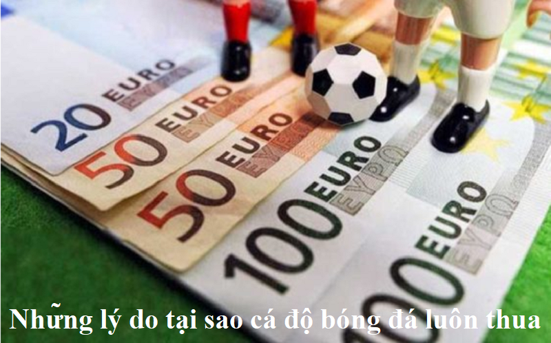 Vì sao cá đ?bóng đá luôn thua