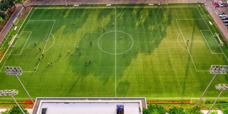 Cược th?nên học hỏi thêm các mẹo chơi cá đ?3 cửa hay t?chuyên gia